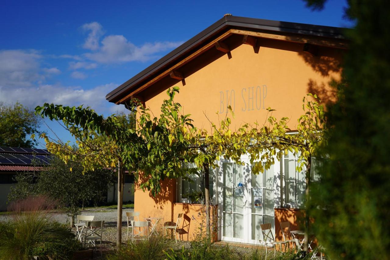 Bioagriturismo Il Cerreto Pomarance Dış mekan fotoğraf