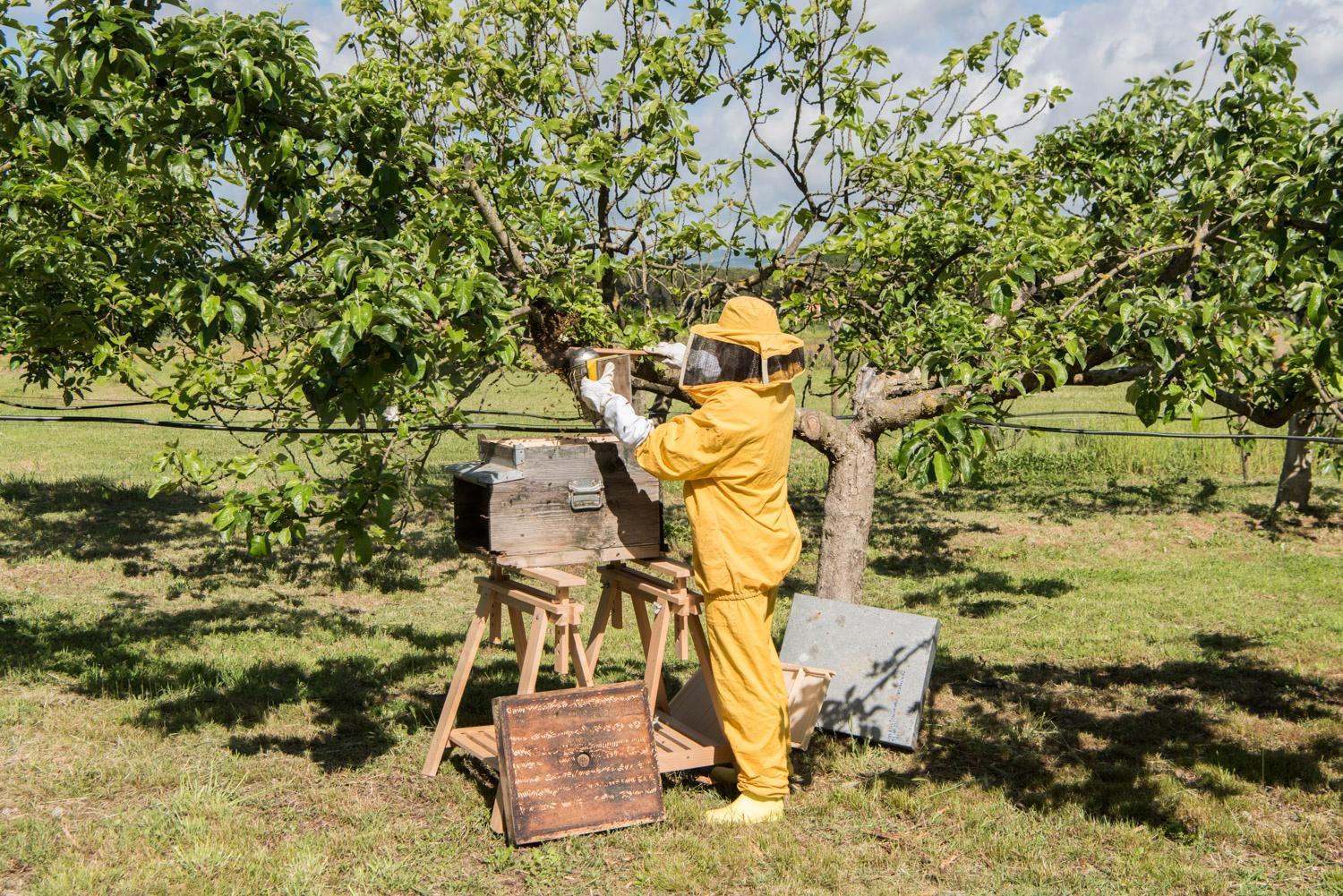 Bioagriturismo Il Cerreto Pomarance Dış mekan fotoğraf